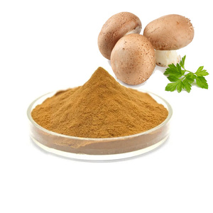 Nhà cung cấp khô <span class=keywords><strong>Shiitake</strong></span> nấm chiết xuất bột polysaccharides 10%-50% 10:1 tự nhiên 20:1 <span class=keywords><strong>Shiitake</strong></span> nấm chiết xuất - Product Image 1