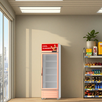 Réfrigérateur Présentoir à Boissons, Bières et Fleurs à Froid Direct, Porte Unique, Température Unique, pour Supermarchés – Le Plus Vendu 2025