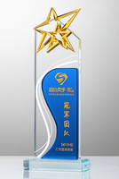 Trofeo Deportivo de Forma Irregular con Doble Cristal y Impresión a Color Personalizada, Premio de Honor Individual