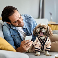 Vêtements pour chiens personnalisés en usine, OEM ODM, pull en tricot pour chien avec imprimé ours, chaud pour l'hiver, pour chiens et chats de petite et moyenne taille
