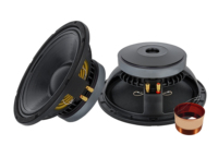 Système de haut-parleurs Line Array de 10 pouces avec bobine vocale en ferrite de 65,5 mm pour les spectacles en plein air