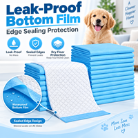 Tapis d'entraînement pour chiens super absorbants et biodégradables, tapis à urine pour chiots, tapis à urine jetables pour chiens à 5 couches