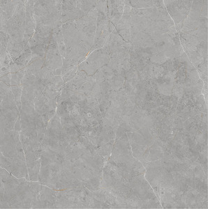 Carreaux de sol de haute qualité 1200*1200mm, finition mate, nouvelle collection, carreaux en porcelaine rustique émaillée R11, carreaux muraux minimalistes - Product Image 3