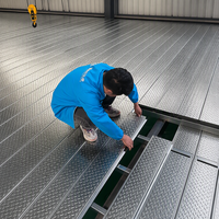 Plancher en acier composite |   Panneau de terrasse Dry-Lay sans béton requis pour les projets de construction de plateformes de stockage en loft