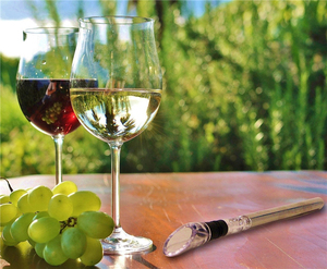 Bộ Quà Tặng <span class=keywords><strong>Wine</strong></span> Cooler Rod Chai <span class=keywords><strong>Wine</strong></span> <span class=keywords><strong>Chiller</strong></span> <span class=keywords><strong>Stick</strong></span> Thép Không Gỉ - Product Image 6