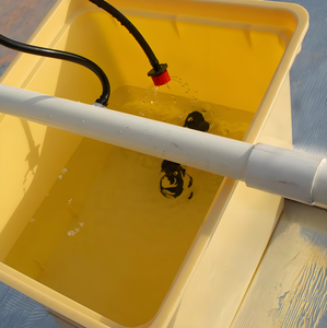 Équipement hydroponique Kit d'irrigation Pot <span class=keywords><strong>de</strong></span> plantation Système <span class=keywords><strong>de</strong></span> seau hollandais Bato pour la culture <span class=keywords><strong>de</strong></span> la tomate du concombre du poivron - Product Image 6