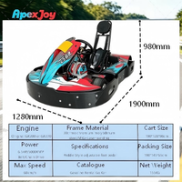 Kart à essence ApexJoy RACE GT PRO A2 - 200cc 6.5HP, 68km/h, frein à disque épaissi de 17mm, cadre en acier au carbone, prix de gros