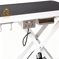 Table de toilettage électrique pour animaux de compagnie EUR PET avec prise, table de toilettage portable pour chat et chien