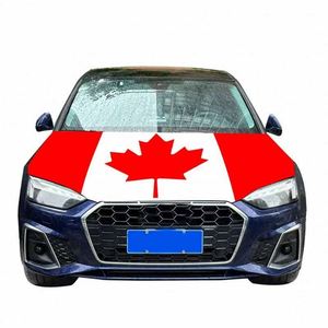 Custom Logo National Day Hood <b>Flag</b> Banner Promotional <b>Flags</b> & Banners on the Front Windshield of the Car - Product Image 6