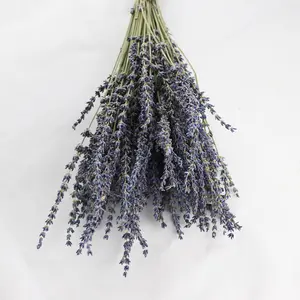 Großhandel Schmuckstrauß Trockenblume Lavender DIY-Blumenmaterial getrocknete Blumen konservierte Lavender für Hochzeit Innendekoration