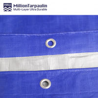 Voile d'ombrage imperméable en tissu enduit Million Blue Silver pour jardin, extérieur, bateau, camion, usage agricole, bâche en PE