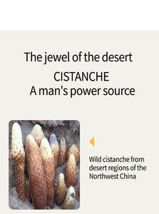 Epimedium Cistanche Huile de Massage Corps pour Homme - Product Image 4