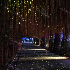 Luz Láser Móvil con Efecto Luciérnaga para Copas de Árboles, Hoteles, Parques Escénicos, Resorts y Proyectos de Experiencias Nocturnas al Aire Libre - Product Image 3