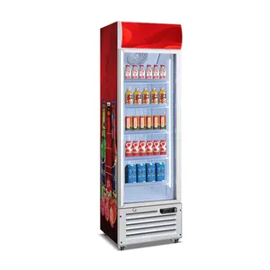 Commercial Frozen Food Equiment Drinks Ice Cream Display Chiller Glass Door Vertical Fridge And Freezer With Automatic Defrost