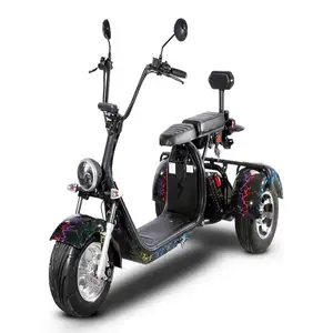 미국/EU 창고 전기 Trike 고속 전기 세발 자전거 3 륜 전기 citycoco 4000w 60v30ah 배터리 스쿠터