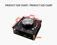 XY-AP100H 100W + 100W Double TPA3116D2 Audio Stéréo de Puissance Numérique Amplificateur Audio AMPLI Amplificador AUX USB APPLICATION