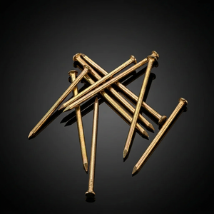 Heavy-Duty 4 Inch Building Nails – Diamond-Shaped Head, Rust-Protected Finish for Professional Use - Product Image 3