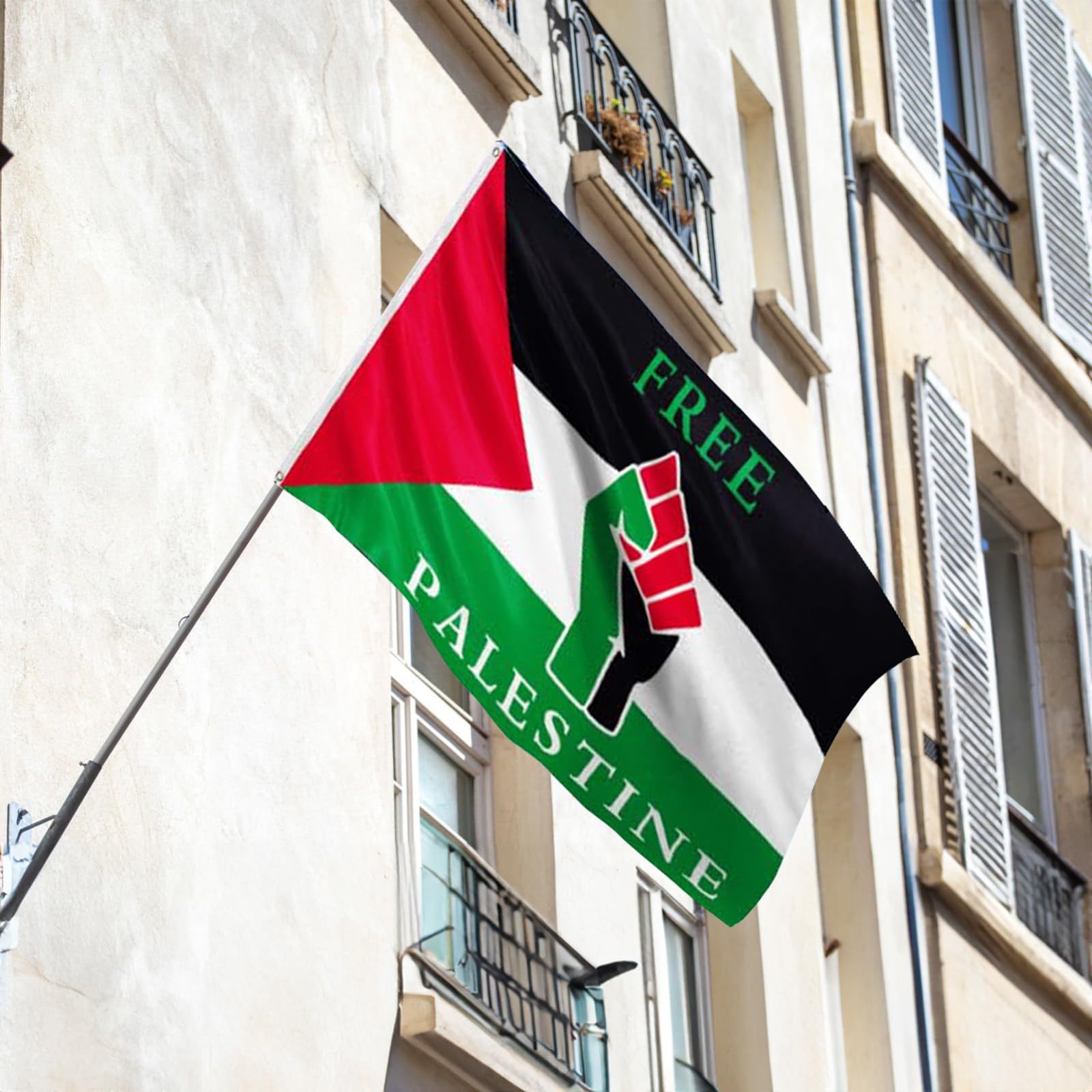 Palestine Flag, Palestine, Flag, Gaza PNG and Vector with Transparent