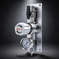 Unité de vanne de commande de terminaison de gaz en acier inoxydable YTM15A SUS316L, régulateur de pression avec manomètre EN 837-1 pour laboratoire