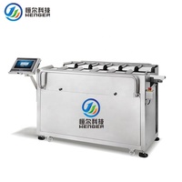 Automatische gewichtssorteermachine van roestvrij staal, industriële gewichtsclassificeermachine voor het sorteren van kip, fruit en vis.