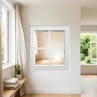 Ventana de marco negro de una sola hoja, montada a ras, ideal para casas modulares y estructuras horizontales de jardín.