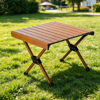 Table de camping pliable portable en alliage d'aluminium ultralégère pour barbecue, pique-nique, plage, jardin