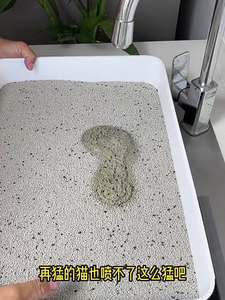 Litière pour chat naturelle à base de minéraux de sodium 5 kg, faible teneur en poussière, désodorisant au charbon actif, litière agglomérante en bentonite - Product Image 2