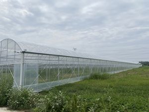 دفيئة بلاستيكية على شكل قوس فعالة من حيث التكلفة لنمو النباتات، دفيئة بسعر المصنع، أفضل جودة، دفيئة رائجة البيع - Product Image 3