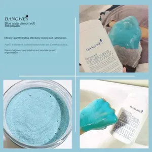 Poudre de <span class=keywords><strong>Masque</strong></span> Doux à la Spiruline Qualité Salon Professionnel pour Soins du Visage Hydratants en Spa et Beauté – Vente en Gros - Product Image 5