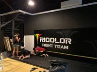 Disesuaikan warna mencetak ukuran PE busa lembut Gym gulat tikar Dinding untuk Brazilian Jiujitsu MMA Grappling