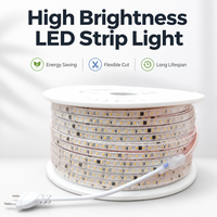 Bande lumineuse LED flexible autocollante 220V sans driver LED