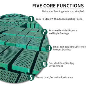 Planche de drainage pour équipement d'élevage, vente directe usine, pour fientes de porcs et de moutons, utilisée pour le couchage des truies en mise bas 110*50 - Product Image 3