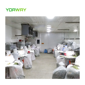 <span class=keywords><strong>Tomates</strong></span> séchées au soleil égyptiennes de qualité supérieure nouvelle récolte de légumes séchés tomate déshydratée naturelle emballage sous vide tomate cuite au four crémeuse - Product Image 3