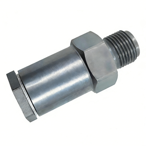 डीजल इंजन सामान्य रेल दबाव राहत वाल्व 1110010035 ईंधन दबाव राहत वाल्व - Product Image 4