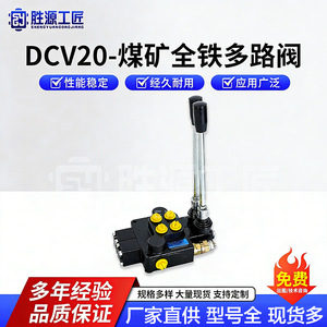 Vanne de commande directionnelle DCV20 en fer, vanne hydraulique pour machines de construction - Product Image 5