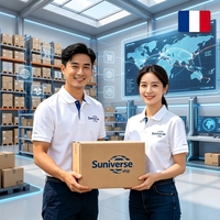 Servicio de Logística en China, Estados Unidos, Reino Unido y Australia para Vendedores de TikTok Shop, Wish y Etsy, Adquisición, Control de Calidad, Soluciones de Almacenamiento Gratuitas, Envío Aéreo+Exprés