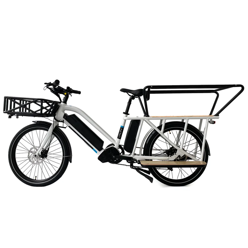 Bicicleta eléctrica de carga de largo alcance para adulto, 36V, W 2022, con motor Bafang, batería dual, 500