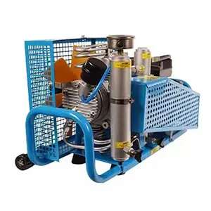 Auto Stop High Pressure Dive Tank Air Compressor for Diving