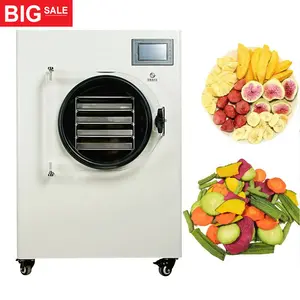 Mini liofilizador al vacío para el hogar, máquina para hacer café, té, hojas, hierbas, verduras, 4kg, 5kg, 6kg