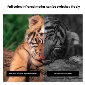 Gafas de Visión Nocturna Monoculares de Alta Calidad con Zoom IR 8X, Binoculares Digitales Infrarrojos de Visión Nocturna de 500 m para Caza al Aire Libre - Product Image 5