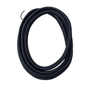 Accessoires de voiture <span class=keywords><strong>MG</strong></span>, bande d'étanchéité de <span class=keywords><strong>coffre</strong></span> 10229789 pour modèle <span class=keywords><strong>MG</strong></span>, noir, Chine - Product Image 1