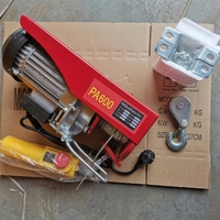 Treuil électrique portable PA1000, petit palan électrique 220V, grue de levage domestique et de construction avec commande filaire