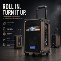 Speaker Karaoke Party HANSUO HS-TS08Q3 40W 8 Inch dengan Dua Mikrofon Nirkabel, USB, FM, dan Gagang yang Dapat Ditarik