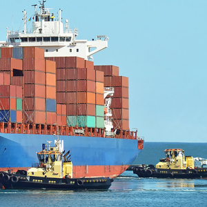 Freight Forwarder Forwarding Agent Guangdong to Canada <strong>Export</strong> <strong>Service</strong> With DDP DDU - Product Image 5