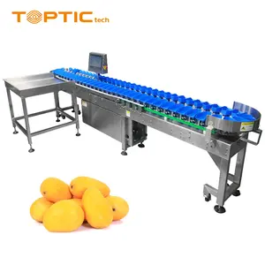 TT-WSM-02 Hot Selling Automatic Food Sort Machine Weight Sorter Machine Sorting Machine