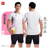 Maillots de volley-ball gonflables personnalisables pour l'été en extérieur - Fabricant en gros de filets de plage transparents