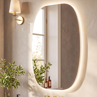 Miroir LED anti-buée de forme ovale, sans cadre, pour salle de bain, éclairage HD à 3 couleurs, gradation progressive, directement de l'usine