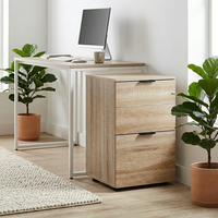 Meuble de classement en bois à 2 tiroirs pour le rangement de dossiers et l'organisation des documents, idéal pour le bureau à domicile
