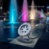 Lampe de fontaine submersible LED RGB blanc chaud/froid en acier inoxydable 316L, étanche IP68, entrée 24V DC, pour aménagement extérieur