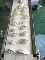 Machine commerciale à grande vitesse pour la fabrication de raviolis, moule antiadhésif pour empanadas et pierogi